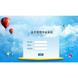 系統(tǒng)軟件開發(fā) 黑龍江與山東的行業(yè)特色與服務(wù)優(yōu)勢(shì)