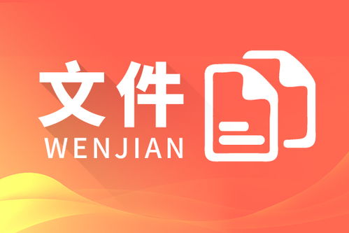 MACSV DCS 翻譯型仿真軟件開(kāi)發(fā) 山東軟件開(kāi)發(fā)團(tuán)隊(duì)的技術(shù)實(shí)踐